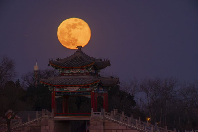 zoomservo兽-科技幻想未来生物 示例图 - 说明文字