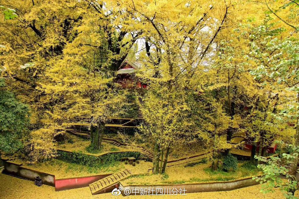 2023奥门正版生肖图v5.6.5 - 生肖图软件下载 示例图 - 说明文字