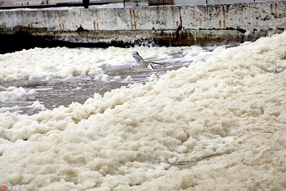 ...亚托莉我挚爱的时光手机版v 示例图 - 说明文字