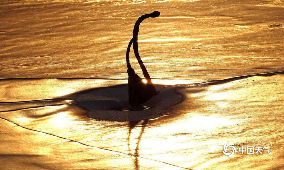 在城市乡村间 gary农民工的奋斗故事 示例图 - 说明文字