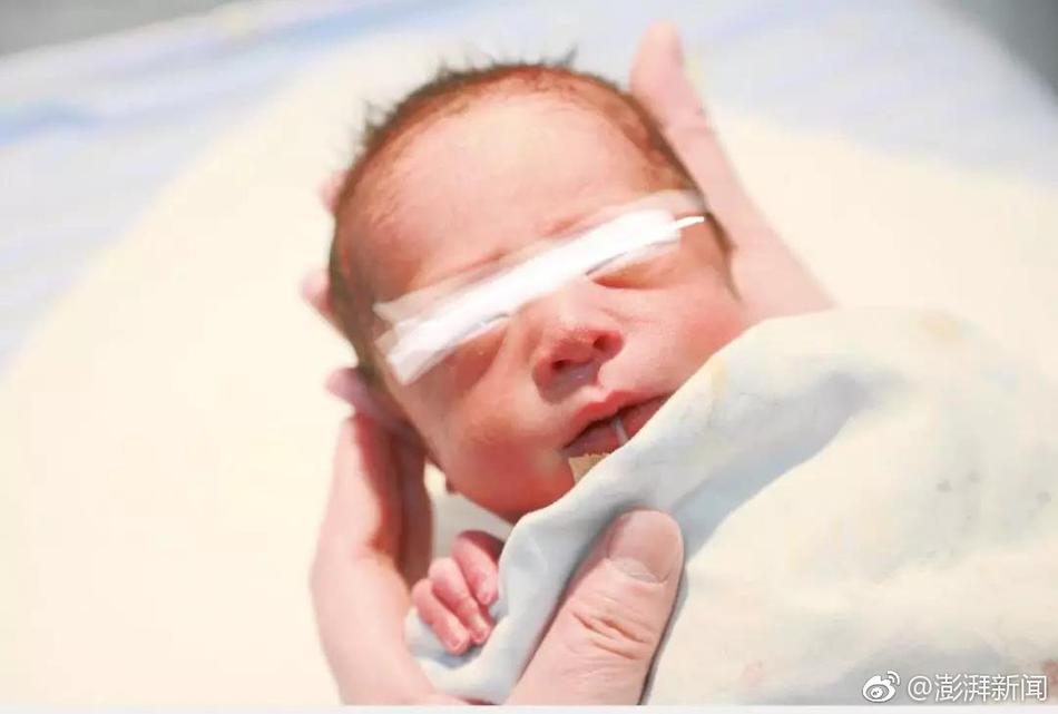 上位勾引h师生出轨兔子爱吃草新章节-上位勾引 示例图 - 说明文字