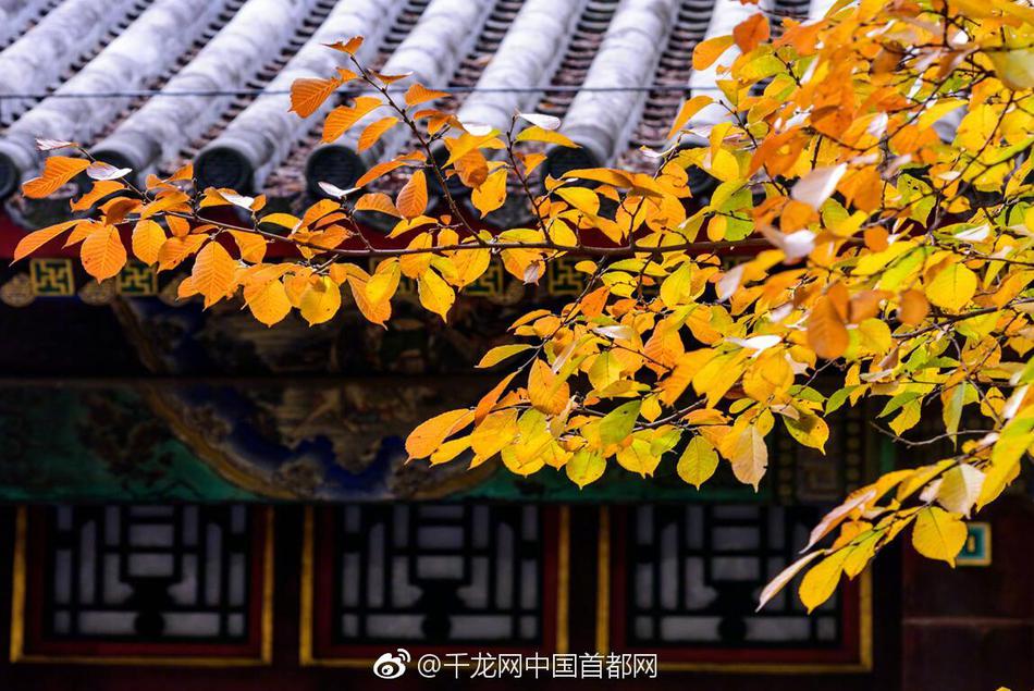 国产av电影精品区一二三区日韩av免费收看 示例图 - 说明文字