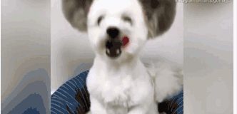 ...亚托莉我挚爱的时光手机版v 示例图 - 说明文字