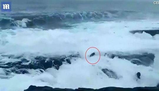 cf电竞新星云悠悠人物介绍游戏攻略 示例图 - 说明文字