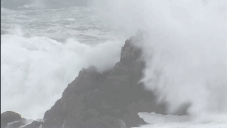 1000部18岁啪啪啪视频-少年之痛杨妞花希望 示例图 - 说明文字