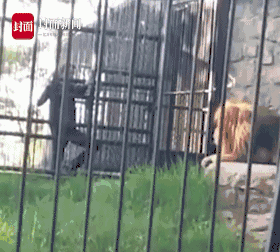 在城市乡村间 gary农民工的奋斗故事 示例图 - 说明文字