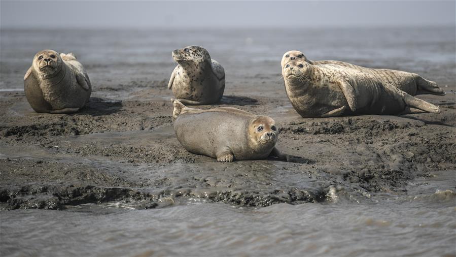 北野未奈hoa∨一101在线观看全集 示例图 - 说明文字