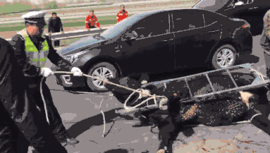 呕吐=美团姑娘怎么约，美团骑手如何进行预约(2024-12-07 21-0) 示例图 - 说明文字