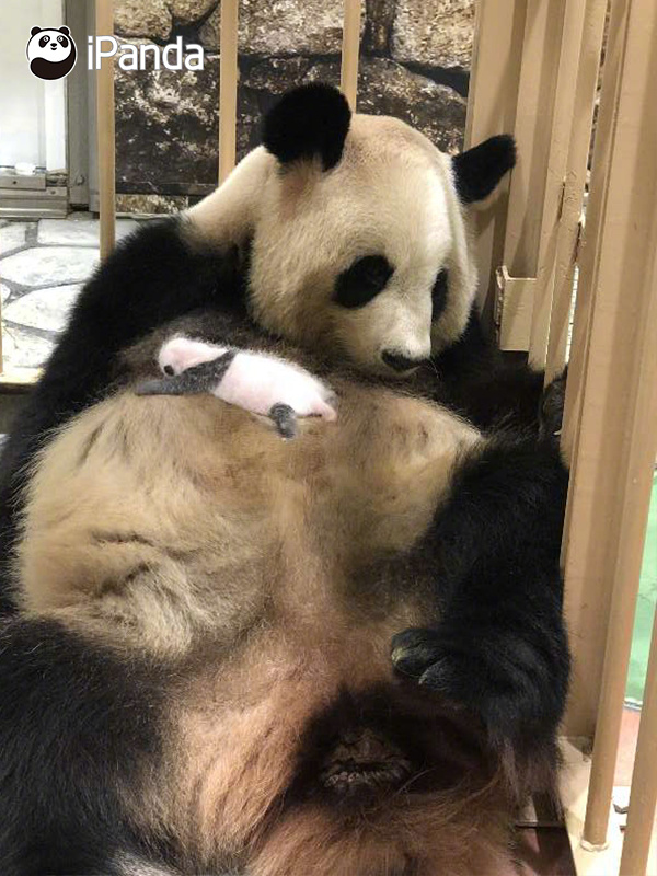 义妹生活免费在线观看-完整版-fhd日漫-新尚影院 示例图 - 说明文字