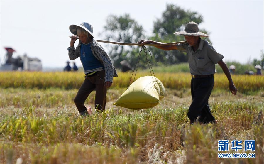 义妹生活免费在线观看-完整版-fhd日漫-新尚影院 示例图 - 说明文字