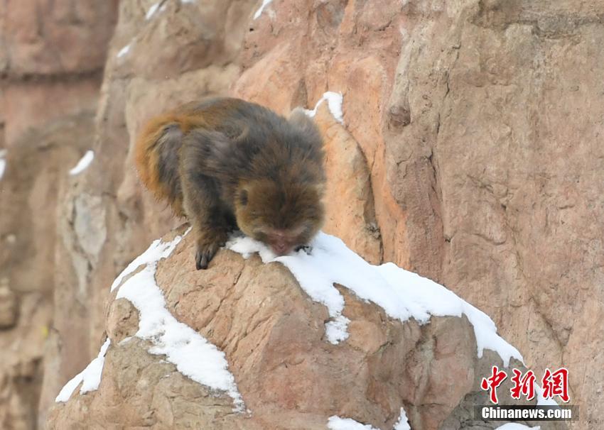 区av电影国产伦精品一二三区日韩av 示例图 - 说明文字