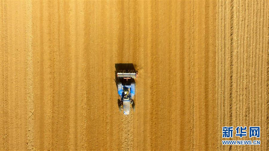 庙里的和尚猛免费在线阅读_四缺一_全集最新收录 示例图 - 说明文字