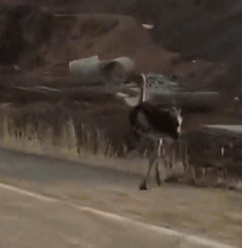 在城市乡村间 gary农民工的奋斗故事 示例图 - 说明文字