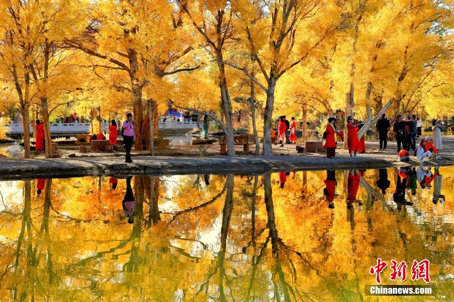 zoomservo兽-科技幻想未来生物 示例图 - 说明文字