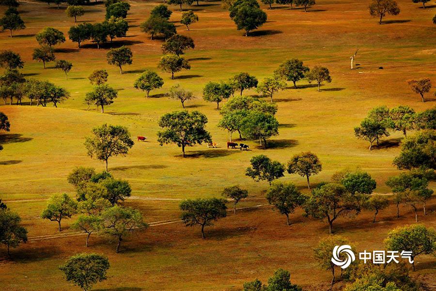 《百千家的妖怪王子》全集动漫-樱花动漫 示例图 - 说明文字