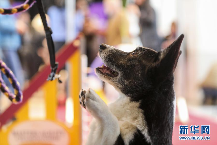 8x8x多重含义数学科技文化中应用 示例图 - 说明文字