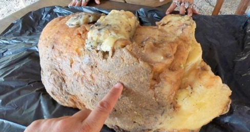 199麻豆up主吐槽盘点，内容绝，我刷了 示例图 - 说明文字