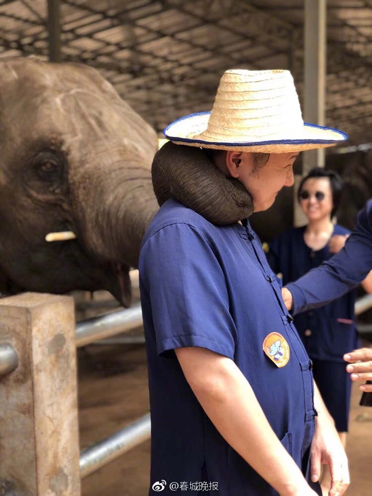 五情天综合基地揭秘幸福秘密 示例图 - 说明文字