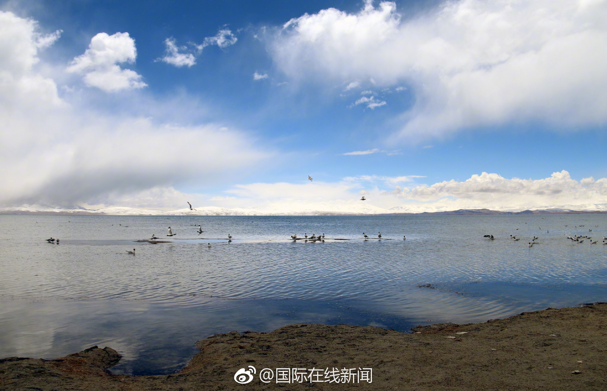 18游戏入口指南，全方位避免问题和风险 示例图 - 说明文字