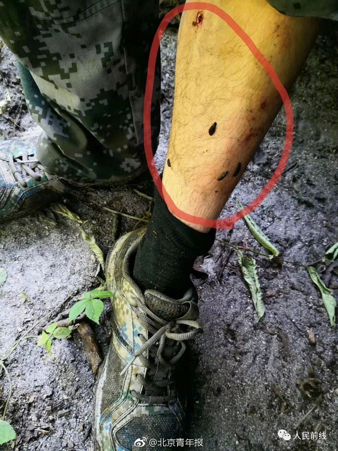 免费观看军情五处第四季电视剧完整版-英国欧 示例图 - 说明文字