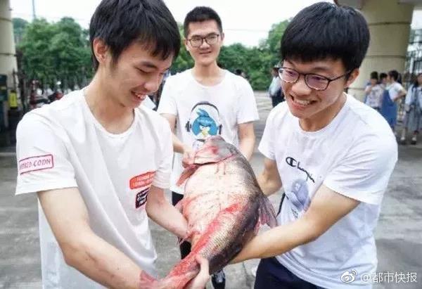 从指尖传出的认真的热情樱花动漫在线播放 示例图 - 说明文字