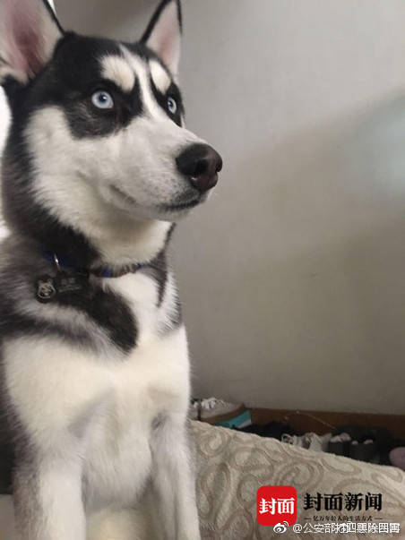 2024年管家婆100%中奖安全设计说明法 示例图 - 说明文字