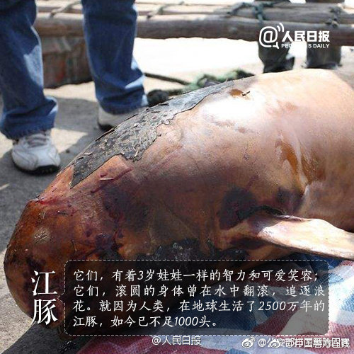 26uuu偷拍亚洲欧洲综合精彩镜头 示例图 - 说明文字