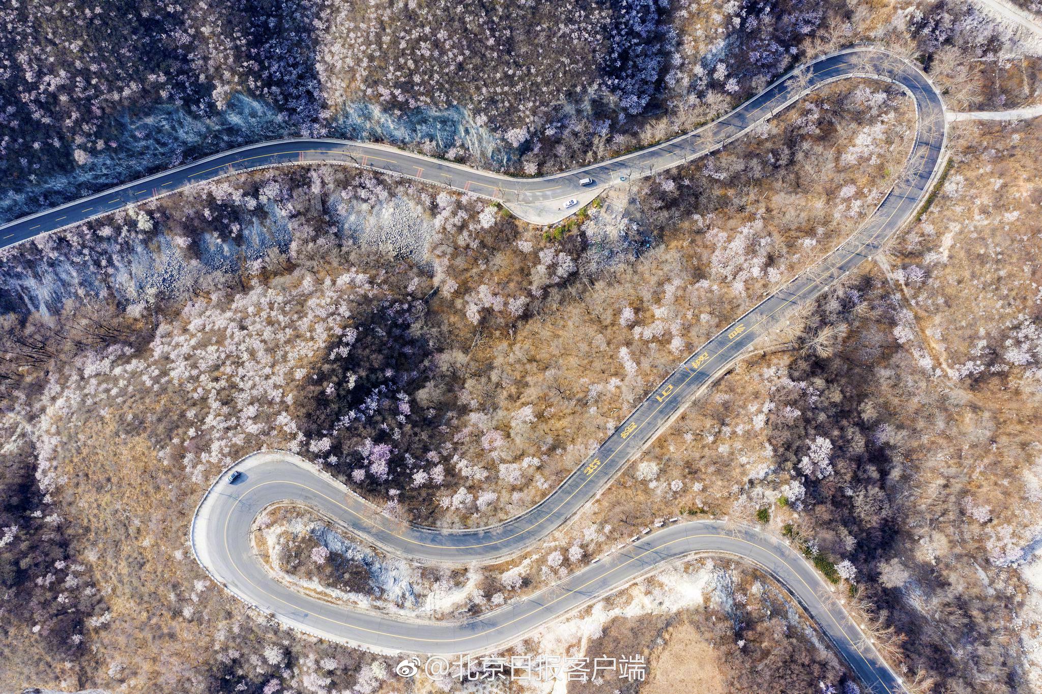 后座小孩带妈妈去姥姥家电子书(姀锡)小说在线全文阅读 示例图 - 说明文字