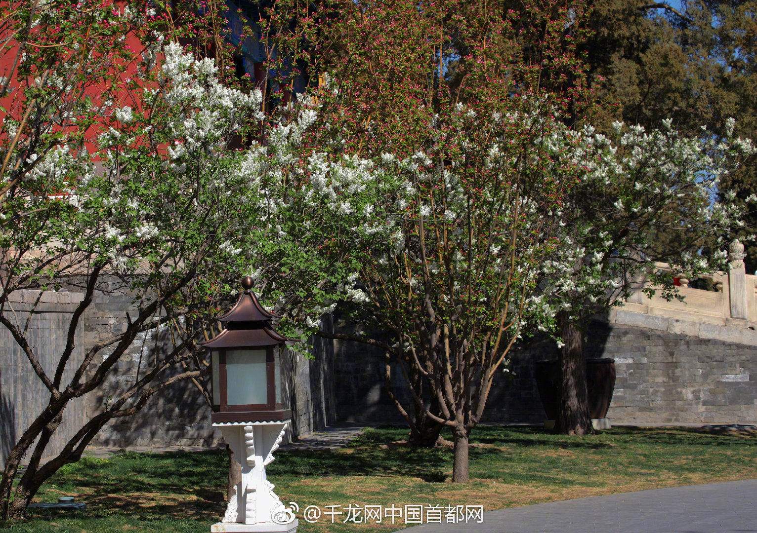 上半年全国社会物流总额1674万亿元，恢复稳定态势持续 示例图 - 说明文字