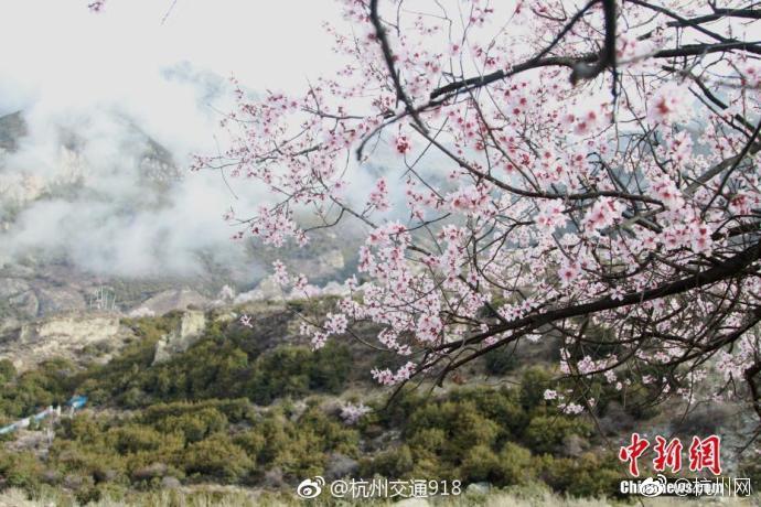 在五情天综合基地探寻幸福之秘 示例图 - 说明文字