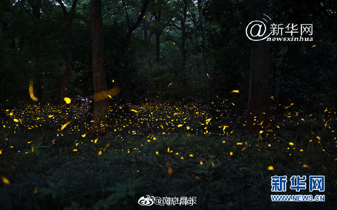 呕吐=美团姑娘怎么约，美团骑手如何进行预约(2024-12-07 21-0) 示例图 - 说明文字