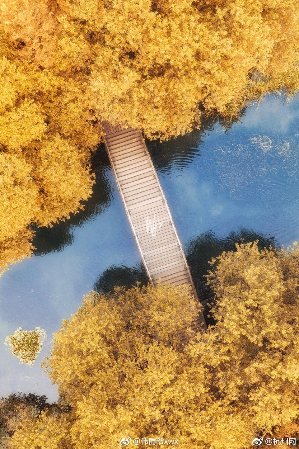 上半年全国社会物流总额1674万亿元，恢复稳定态势持续 示例图 - 说明文字