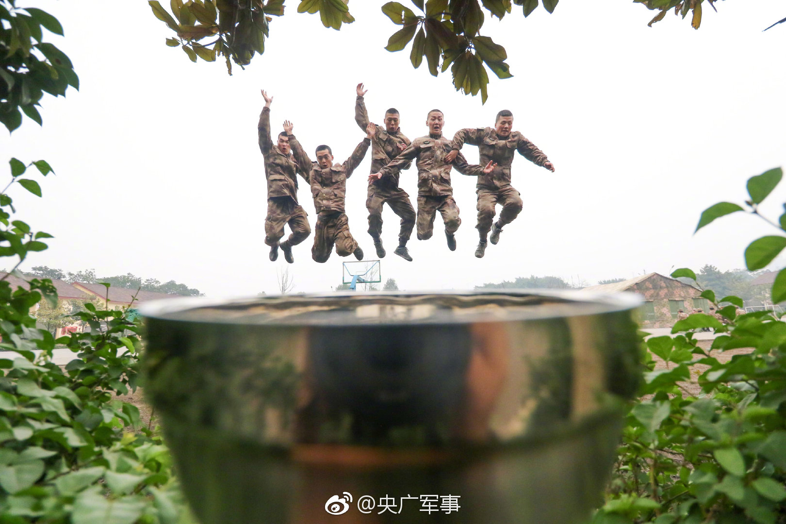 018期澳门彩报-3d图库 示例图 - 说明文字