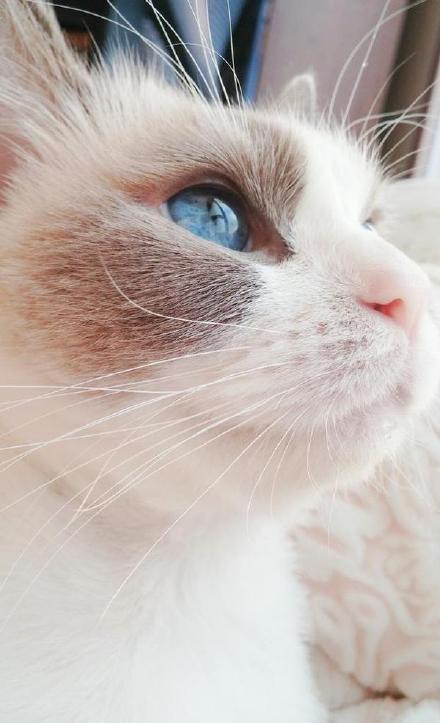 如何精挑交合集1300部作品最优的中文汉字 示例图 - 说明文字