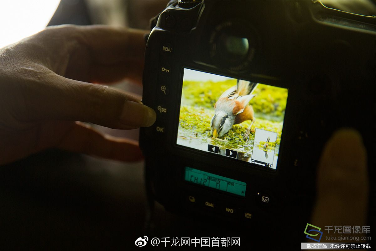 双女车车高清资源在线观看视 示例图 - 说明文字