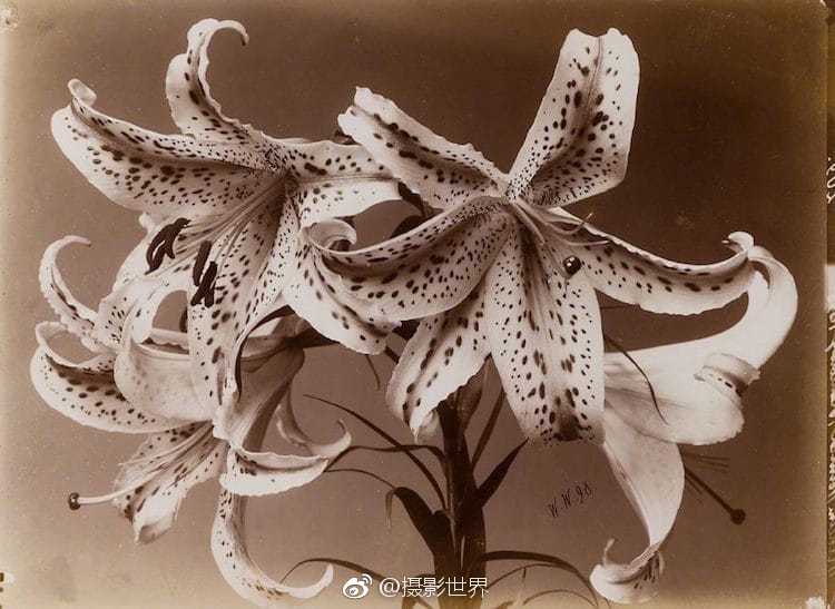 后座小孩带妈妈去姥姥家电子书(姀锡)小说在线全文阅读 示例图 - 说明文字