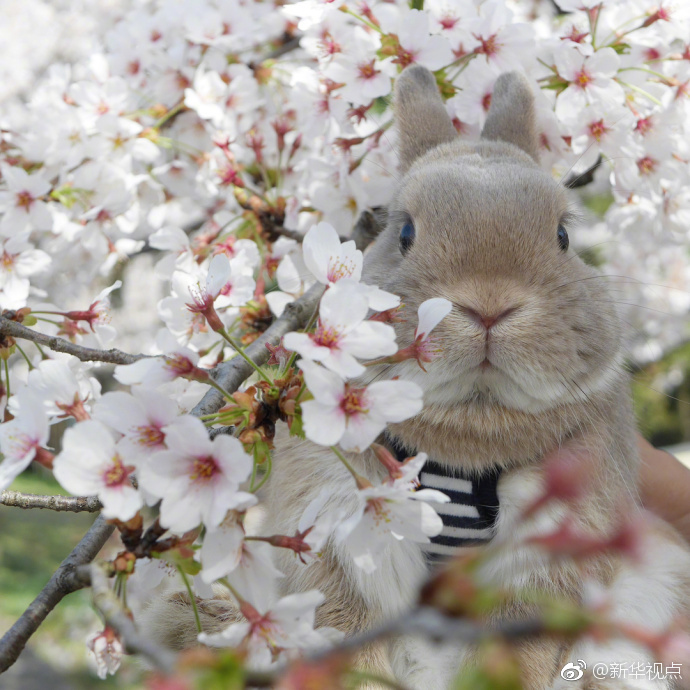 在五情天综合基地探寻幸福之秘 示例图 - 说明文字