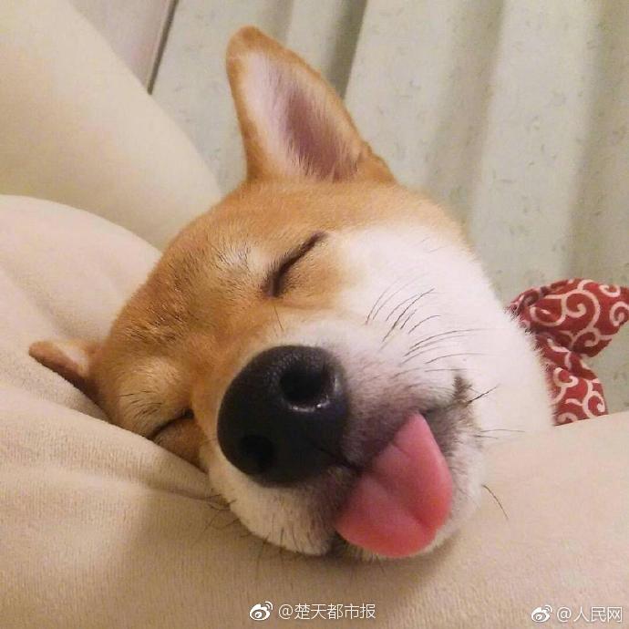 018期澳门彩报-3d图库 示例图 - 说明文字