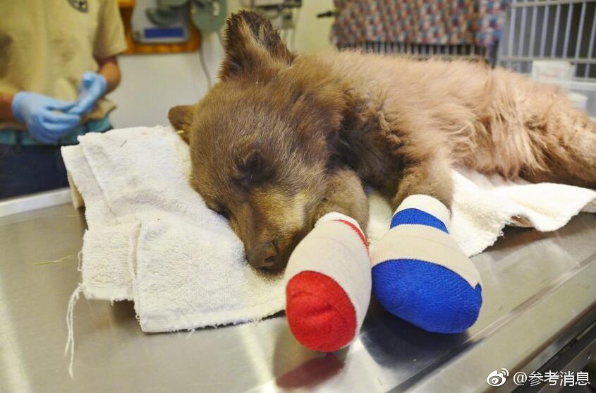 上位勾引h师生出轨兔子爱吃草新章节-上位勾引 示例图 - 说明文字