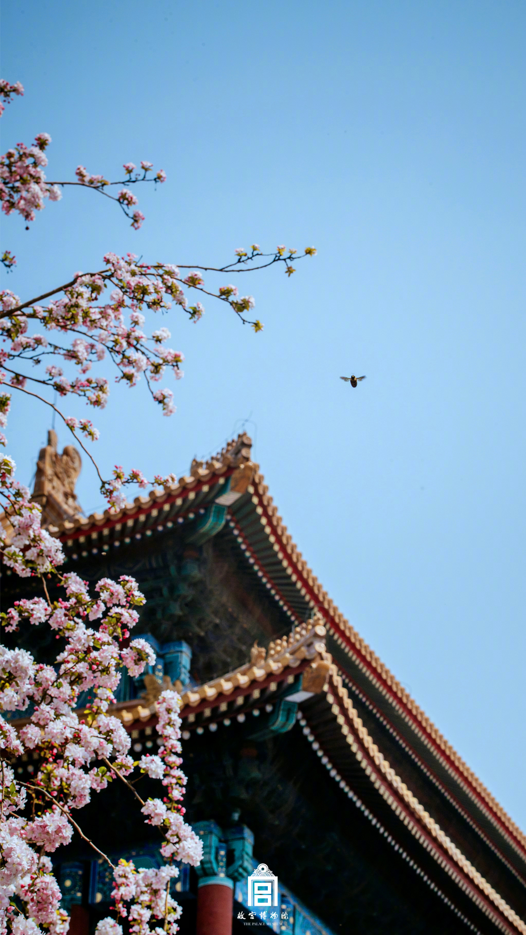 2024年管家婆100%中奖安全设计说明法 示例图 - 说明文字