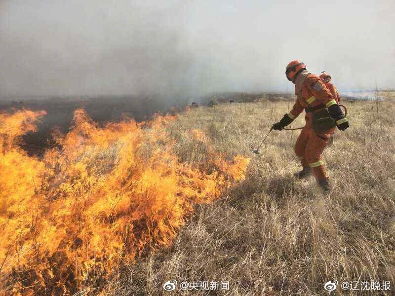上位勾引h师生出轨兔子爱吃草新章节-上位勾引 示例图 - 说明文字