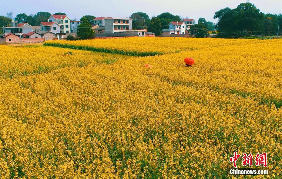 aaaa级片，最新aaaa大片，高清aaaavaaaaaa精品视频 示例图 - 说明文字