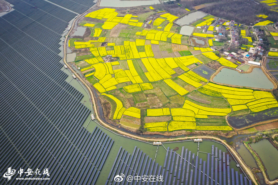 →→fulao2邮箱专业站长版v3314.6314.58585a_ 示例图 - 说明文字