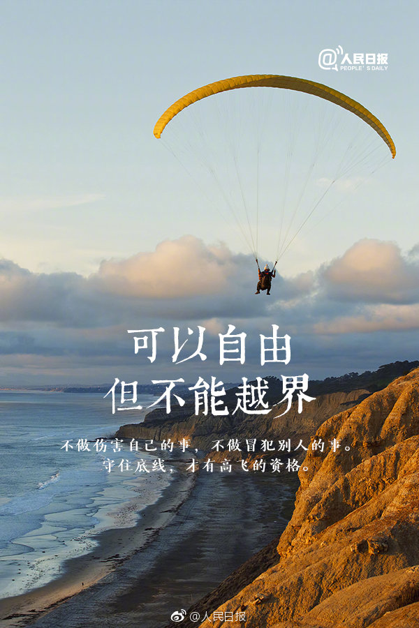 军情五处第四季全集免费在线观看-英国欧 示例图 - 说明文字