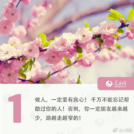 2024达盖亚旗帜回家的路_达盖亚旗帜暂停剧组 示例图 - 说明文字