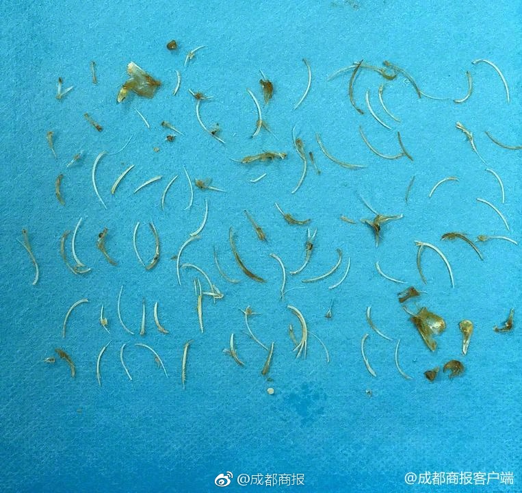 在城市乡村间 gary农民工的奋斗故事 示例图 - 说明文字