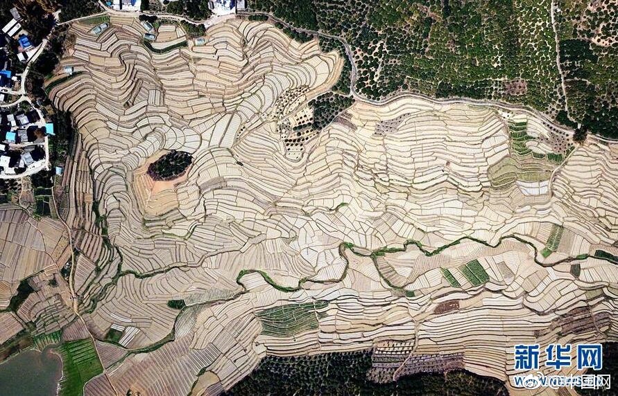 庙里的和尚猛免费在线阅读_四缺一_全集最新收录 示例图 - 说明文字