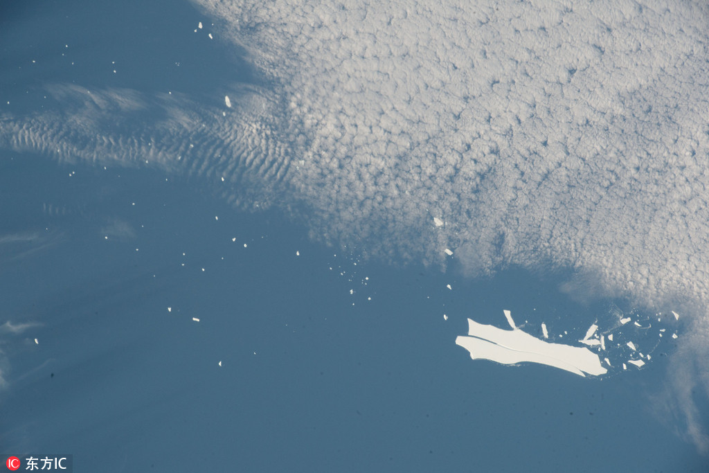 公司公厕小说免费阅读2025最新章节更新 示例图 - 说明文字