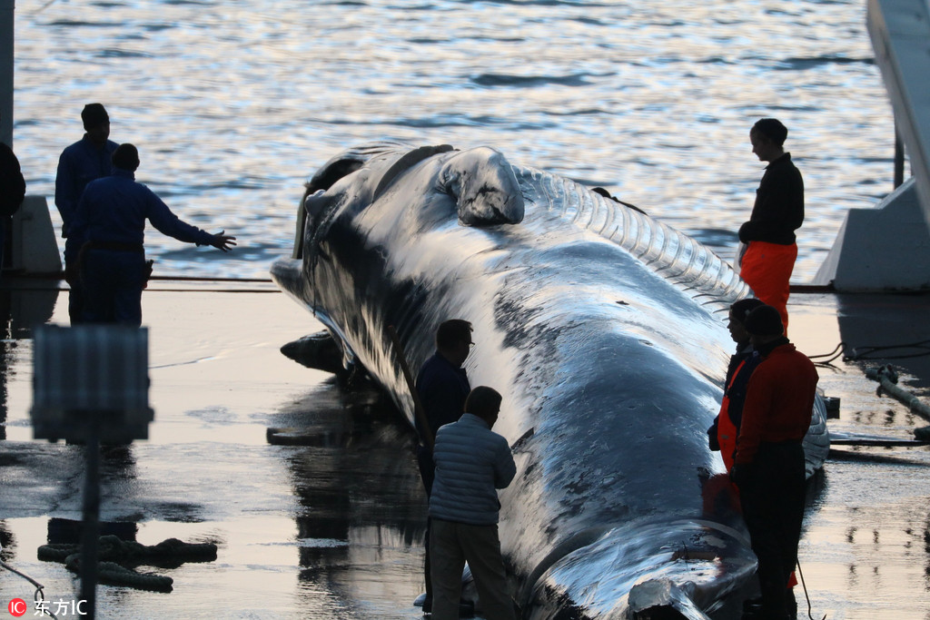 8x8x多重含义数学科技文化中应用 示例图 - 说明文字