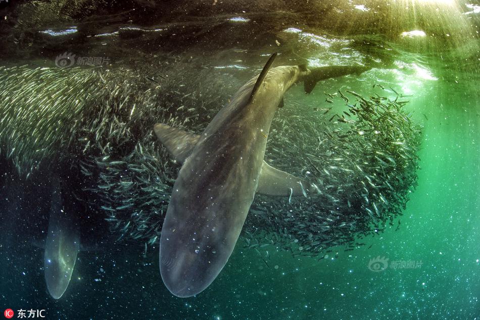 在城市乡村间 gary农民工的奋斗故事 示例图 - 说明文字